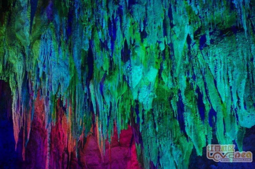 逃离水虎鱼湖