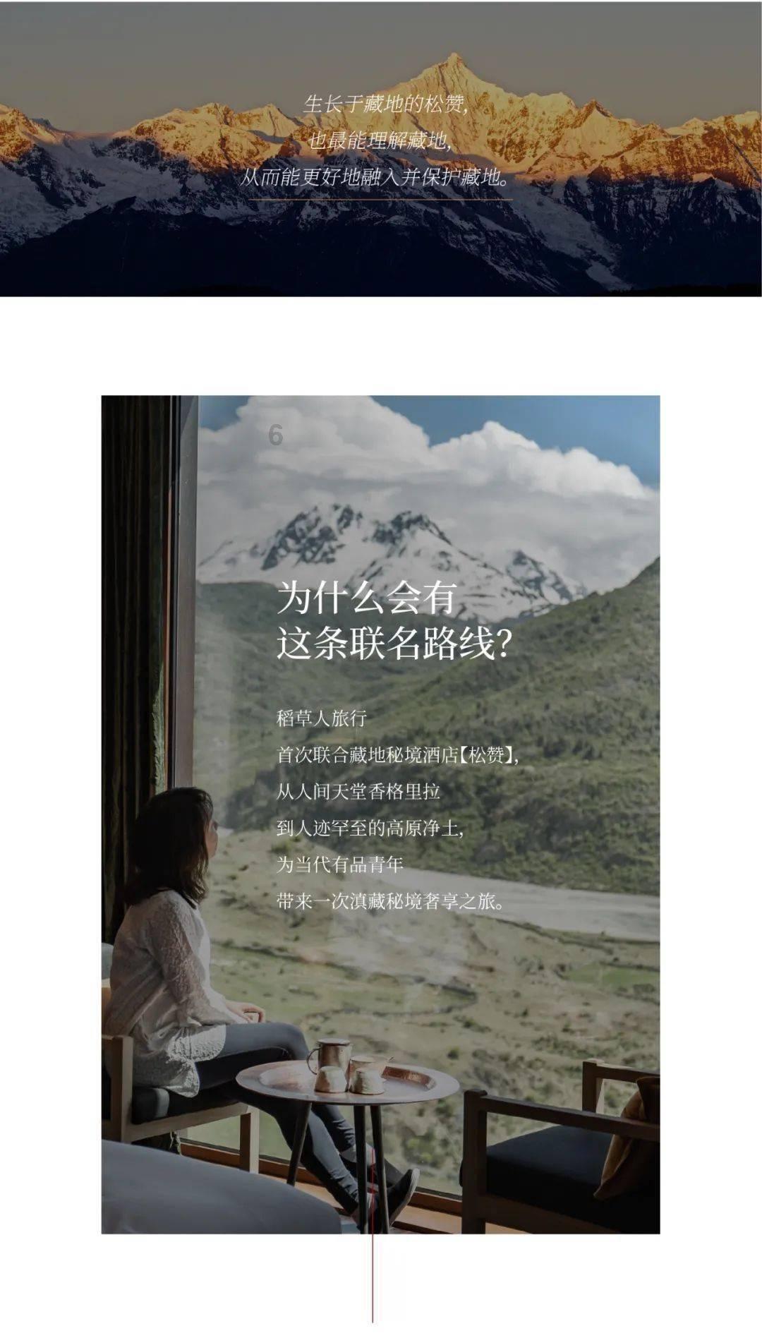 逃离野鸡森林
