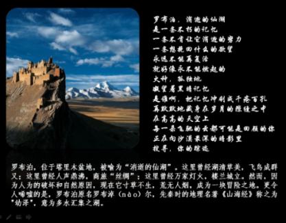 探探猫拼图