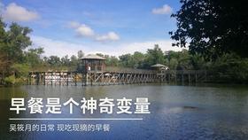 蓝色小球入袋选关版