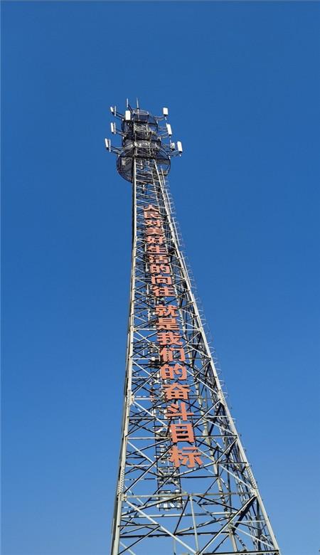 救援小蝙蝠