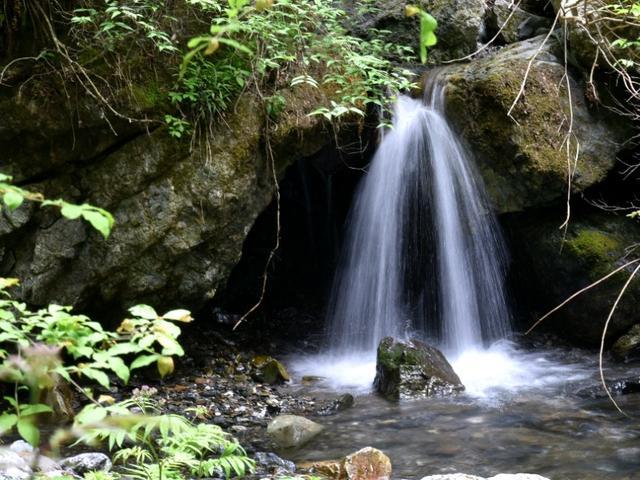 首届“一带一路·东盟大湾区杯”国际青少年足球赛在贵港举行