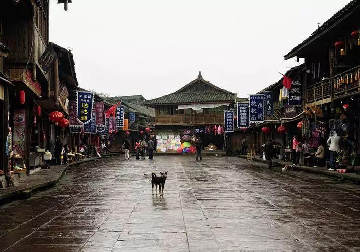 蝙蝠侠：阿甘之城