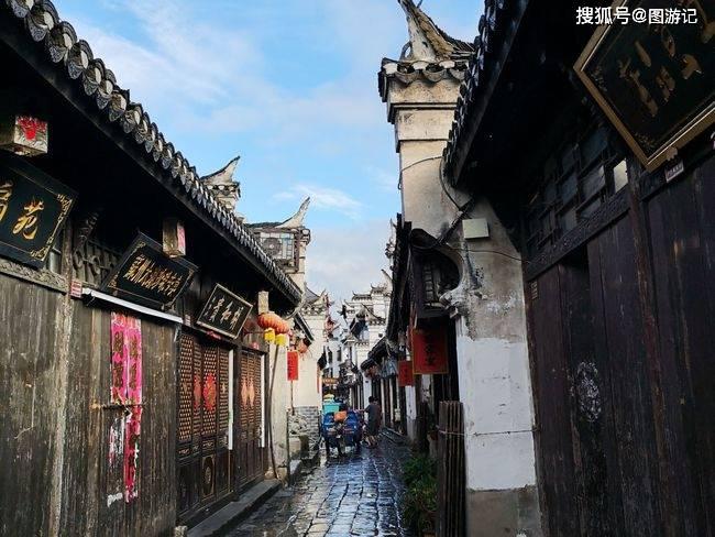 许多人可能不会想到，狗是由狼进化而来